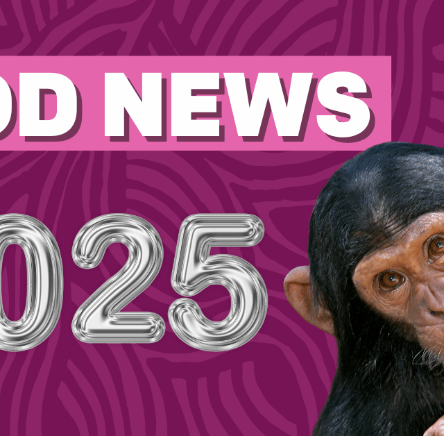 Good News 2025: Die 10 größten Erfolgsgeschichten 