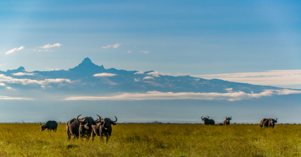 Kenia Natur und Wildtiere