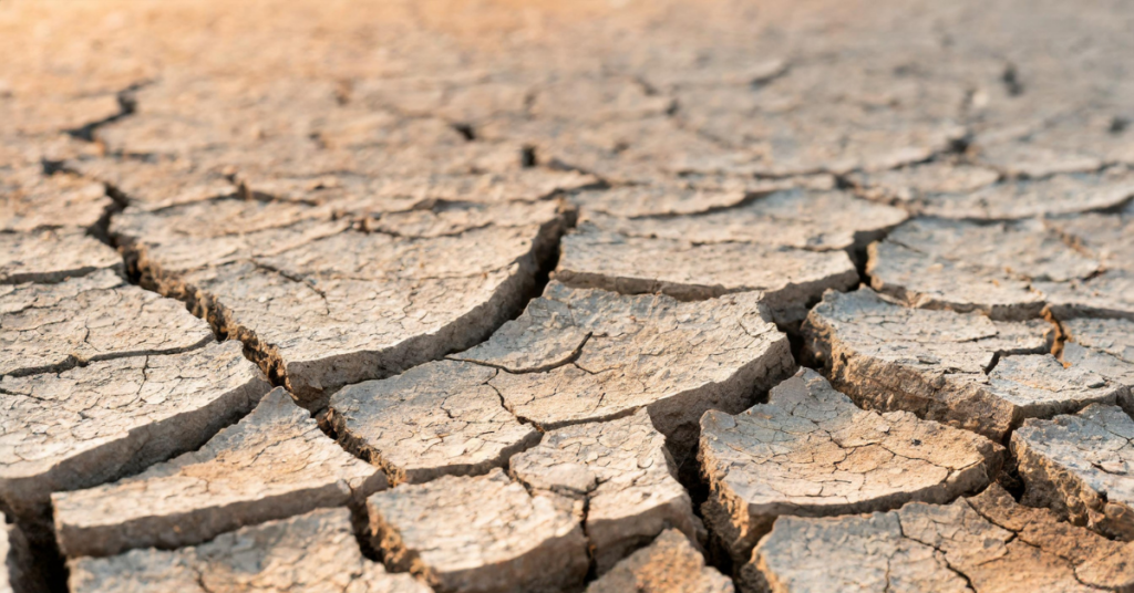 Ausgetrockneter Wüstenboden