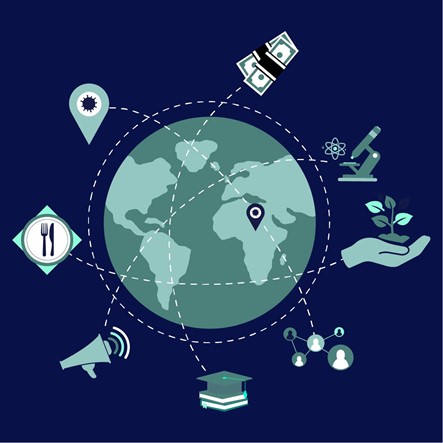 Tout comprendre sur le rôle des droits de tirages spéciaux (DTS) dans l’économie africaine