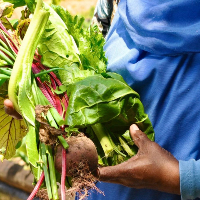 Analyse d’une crise alimentaire mondiale sans précédent