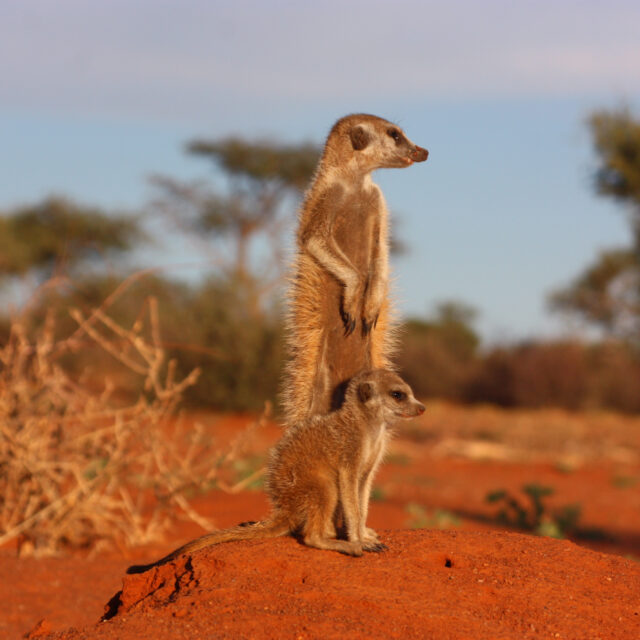 Africa: 10 places to go in 2016