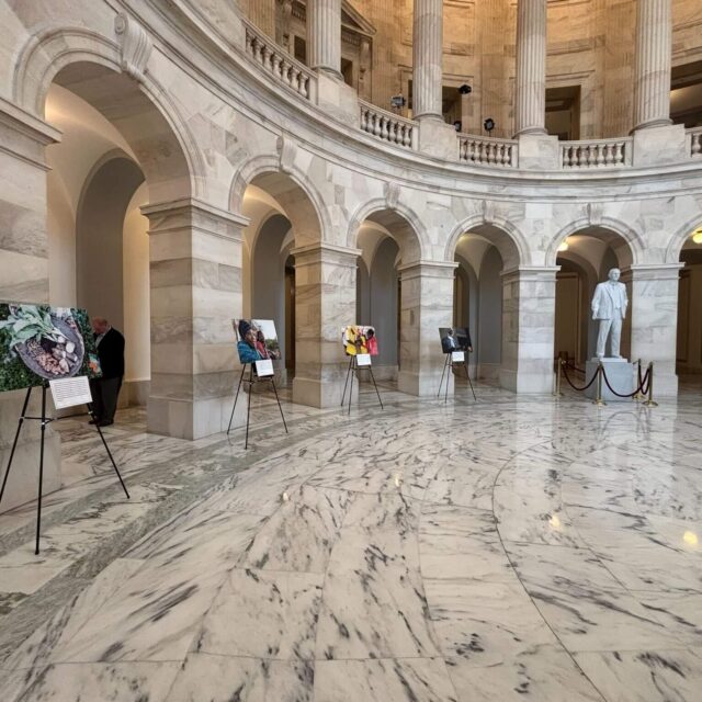 Africa Day on Capitol Hill: Big Ideas, Bold Voices, and a Cube Full of Stories