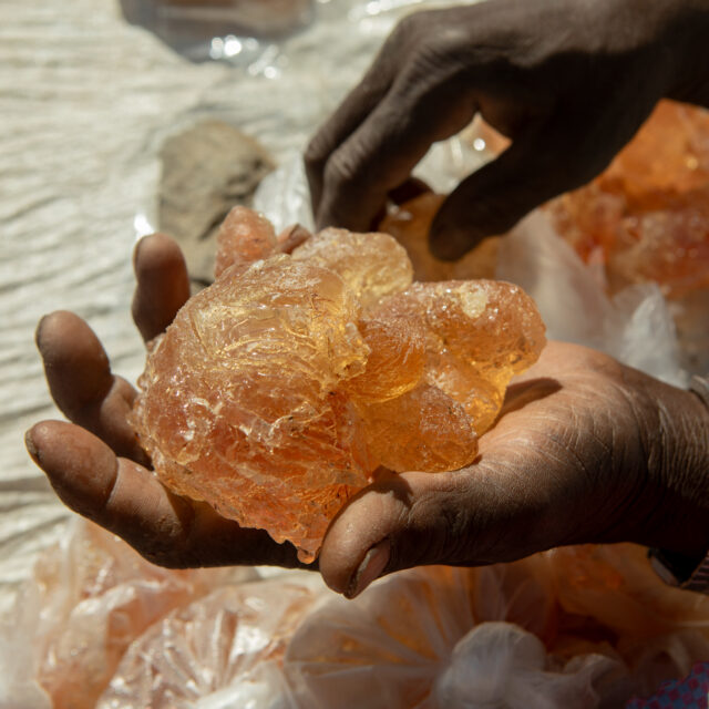 The scary truth behind your Halloween candy and Sudan’s war