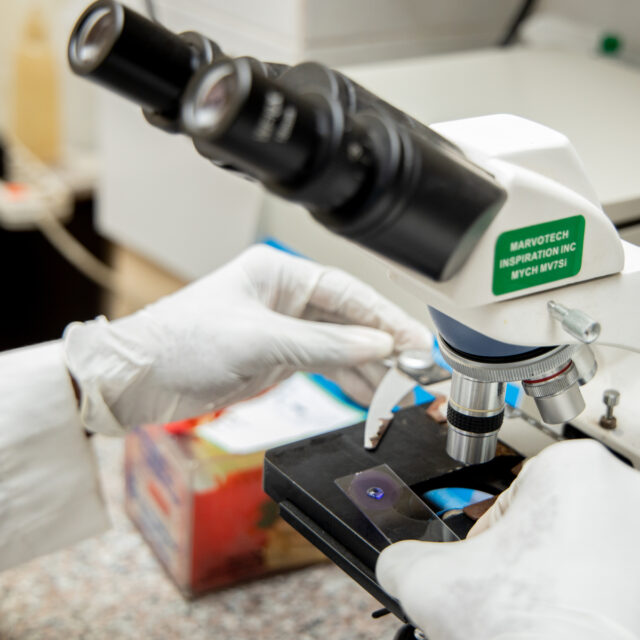 Meet 3 women who are making strides in STEM