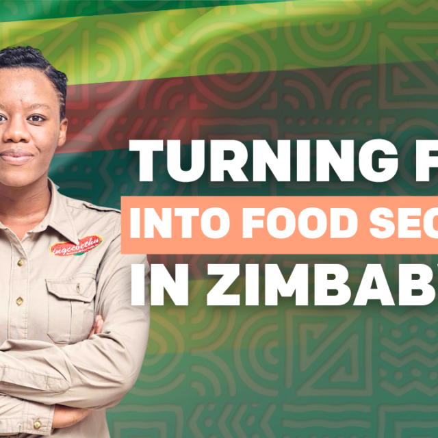 Zimbabwe: How one woman is fighting food waste to strengthen food security